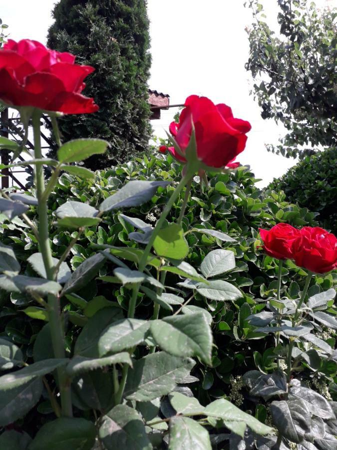Casa Chitu Guest House มูรีกีโอล ภายนอก รูปภาพ